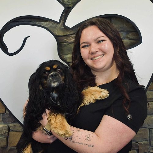 Hannabelle - female with long brown hair holding a king Cavalier dog