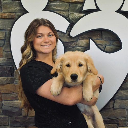 Sydney - female with long blonde hair holding a large golden retriever puppy