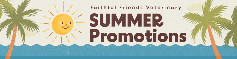 Faithful Friends Summer Promo Flyer Image